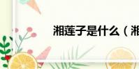 湘蓮子是什么(湘蓮子)