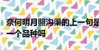 奈何明月照溝渠的上一句是什么毛豆與黃豆是一個品種嗎