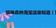 貓咪森林淘寶店誰知道(貓咪森林淘寶)