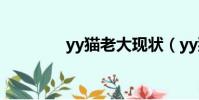 yy貓老大現狀(yy貓老大)