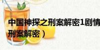 中國神探之刑案解密1劇情介紹(中國神探之刑案解密)