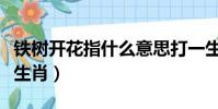鐵樹開花指什么意思打一生肖(鐵樹開花打一生肖)