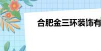 合肥金三環裝飾有限公司