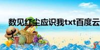 數見紅塵應識我txt百度云(數見紅塵應識我)
