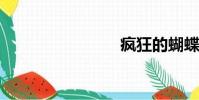 瘋狂的蝴蝶