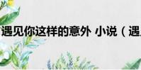 遇見你這樣的意外 小說(遇見你這樣的意外)
