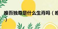 唯吾獨尊是什么生肖嗎(唯吾獨尊是什么生肖)