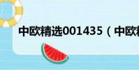 中歐精選001435(中歐精選001117)