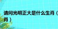 請問光明正大是什么生肖(正大光明是什么生肖)