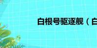 白根號驅逐艦(白根號)