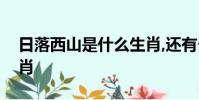 日落西山是什么生肖,還有夕陽西下是什么生肖