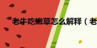 老牛吃嫩草怎么解釋(老牛吃嫩草txt)