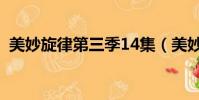 美妙旋律第三季14集(美妙旋律第三季13)