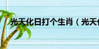 光天化日打個生肖(光天化日打一生肖)