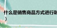 什么是銷售商品方式進行融資(什么是銷售商)