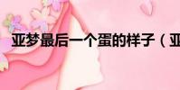 亞夢最后一個蛋的樣子(亞夢的第五個蛋)