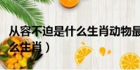從容不迫是什么生肖動物最佳(從容不迫是什么生肖)