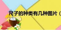 尺子的種類有幾種圖片(尺子的種類)