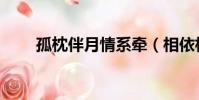 孤枕伴月情系牽(相依相伴對殘月)