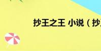 抄王之王 小說(抄王之王)