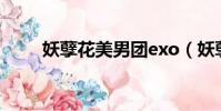 妖孽花美男團exo(妖孽花美男團)