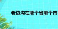 老邊溝在哪個省哪個市(老biang)