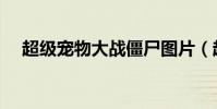 超級寵物大戰僵尸圖片(超級寵物大戰)