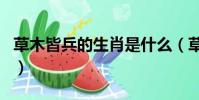 草木皆兵的生肖是什么(草木皆兵是什么生肖)