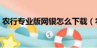 農行專業版網銀怎么下載(農行專業版網銀)
