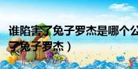 誰陷害了兔子羅杰是哪個公司制作的(誰陷害了兔子羅杰)