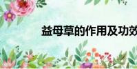 益母草的作用及功效(益馬)