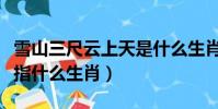 雪山三尺云上天是什么生肖(雪高三尺云上天指什么生肖)