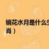 鏡花水月是什么生肖打一正確生肖答案（鏡花水月是什么生肖）