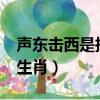 聲東擊西是指哪一生肖?（聲東擊西是指哪一生肖）