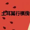 土耳其行棋傀儡是真的嗎（土耳其行棋傀儡）