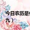 今日農歷是什么日子幾九（農歷查詢 今日幾九）