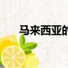 馬來西亞的查某歌詞（馬來西亞查某）