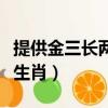 提供金三長兩短是什么生肖（三長兩短是什么生肖）