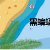 黑蝙蝠（關于黑蝙蝠的簡介）