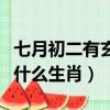七月初二有玄機什么生肖（七月初七有玄機是什么生肖）