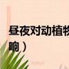 晝夜對動植物的影響例子（晝夜對動植物的影響）