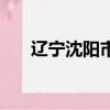 遼寧沈陽市新民市郵編（新民市郵編）
