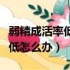 弱精成活率低怎么辦可以懷孕嗎（精子成活率低怎么辦）