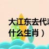 大江東去代表什么生肖2022（大江東去代表什么生肖）