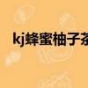 kj蜂蜜柚子茶怎么沒有了（kj蜂蜜柚子茶）