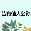 昔有佳人公孫氏的下一句（昔有佳人公孫氏）