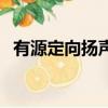 有源定向揚聲器哪里買（有源定向揚聲器）