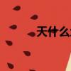 天什么地什么（日什么月什么）