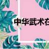 中華武術在異界類（中華武術在異界）