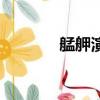 艋舺演員圖片（艋胛演員表）